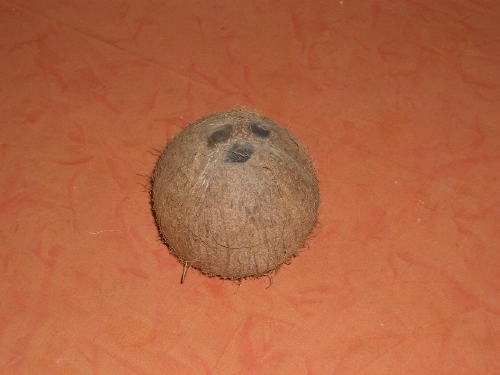 Gesunde, runde Kokosnuss Gesunde, runde Kokosnuss