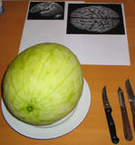 Melone 2 Melone 2